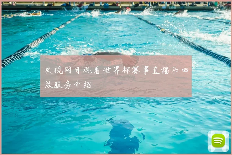 央视网可观看世界杯赛事直播和回放服务介绍