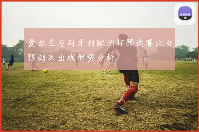 爱尔兰与匈牙利欧洲杯预选赛比分预测及出线形势分析