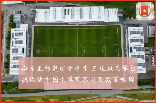 谌龙里约奥运会夺金 王适娴无缘出战促使中国女单阵容与备战策略调整