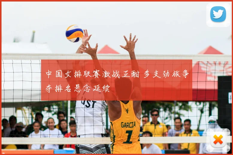 中国女排联赛激战正酣 多支劲旅争夺排名悬念延续