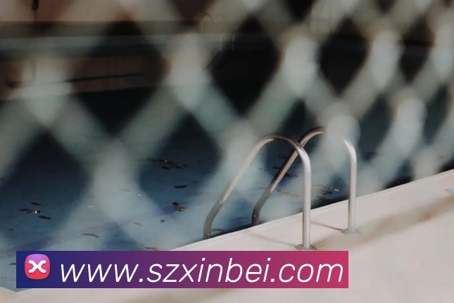 App Interface Preview