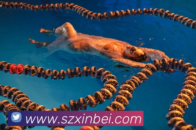 华体官网登录APP 封面图